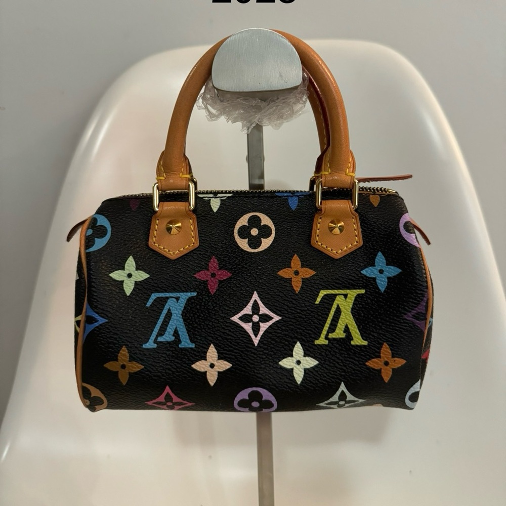 Louis Vuitton Original Multicolor Murakami Speedy HL black